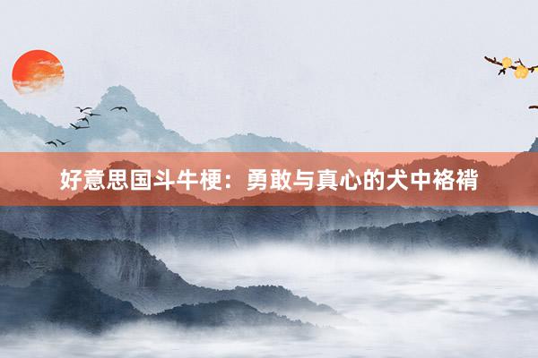 好意思国斗牛梗：勇敢与真心的犬中袼褙