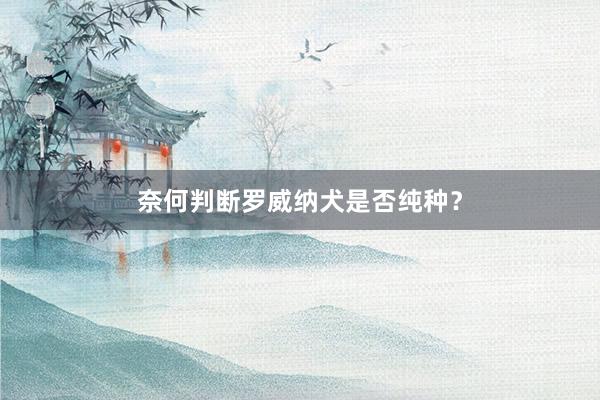 奈何判断罗威纳犬是否纯种？