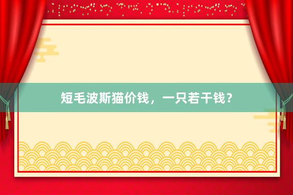 短毛波斯猫价钱，一只若干钱？