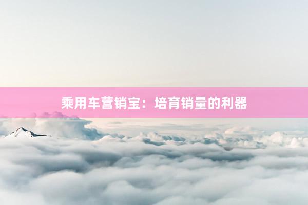 乘用车营销宝：培育销量的利器